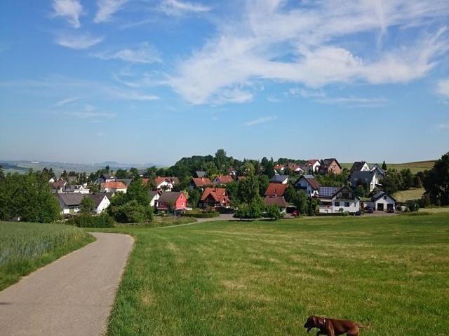 Ferienwohnung Maifeld Виршем Экстерьер фото